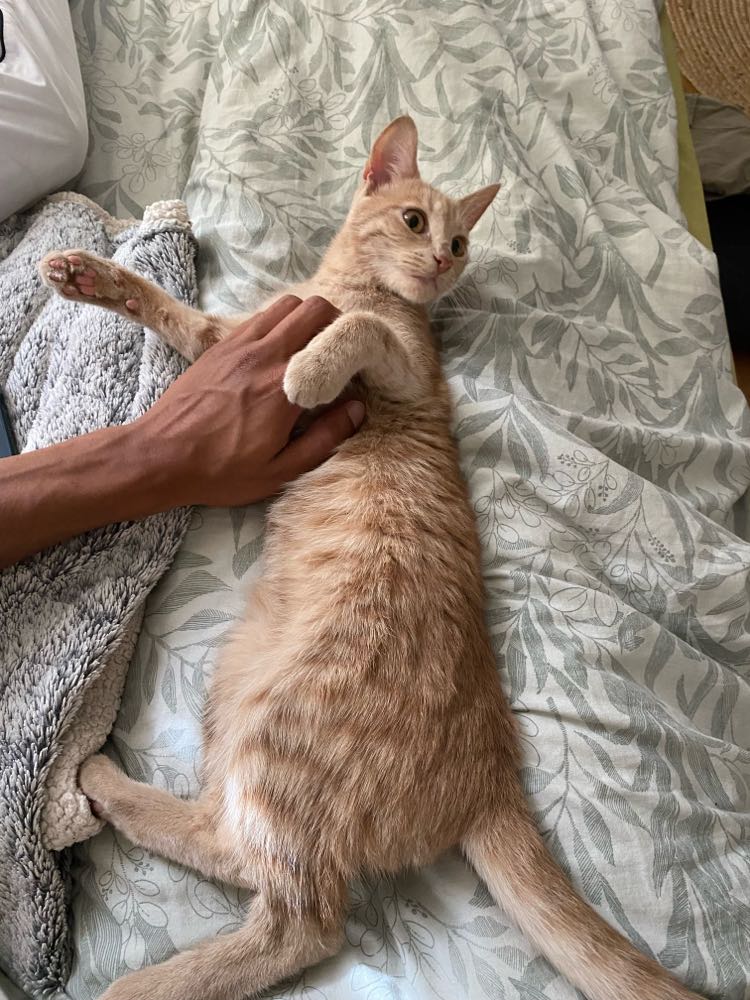 399687243_234973749600809_5567598871621832008_n