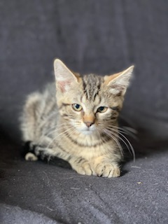 399751874_248324591563766_891088895590630701_n