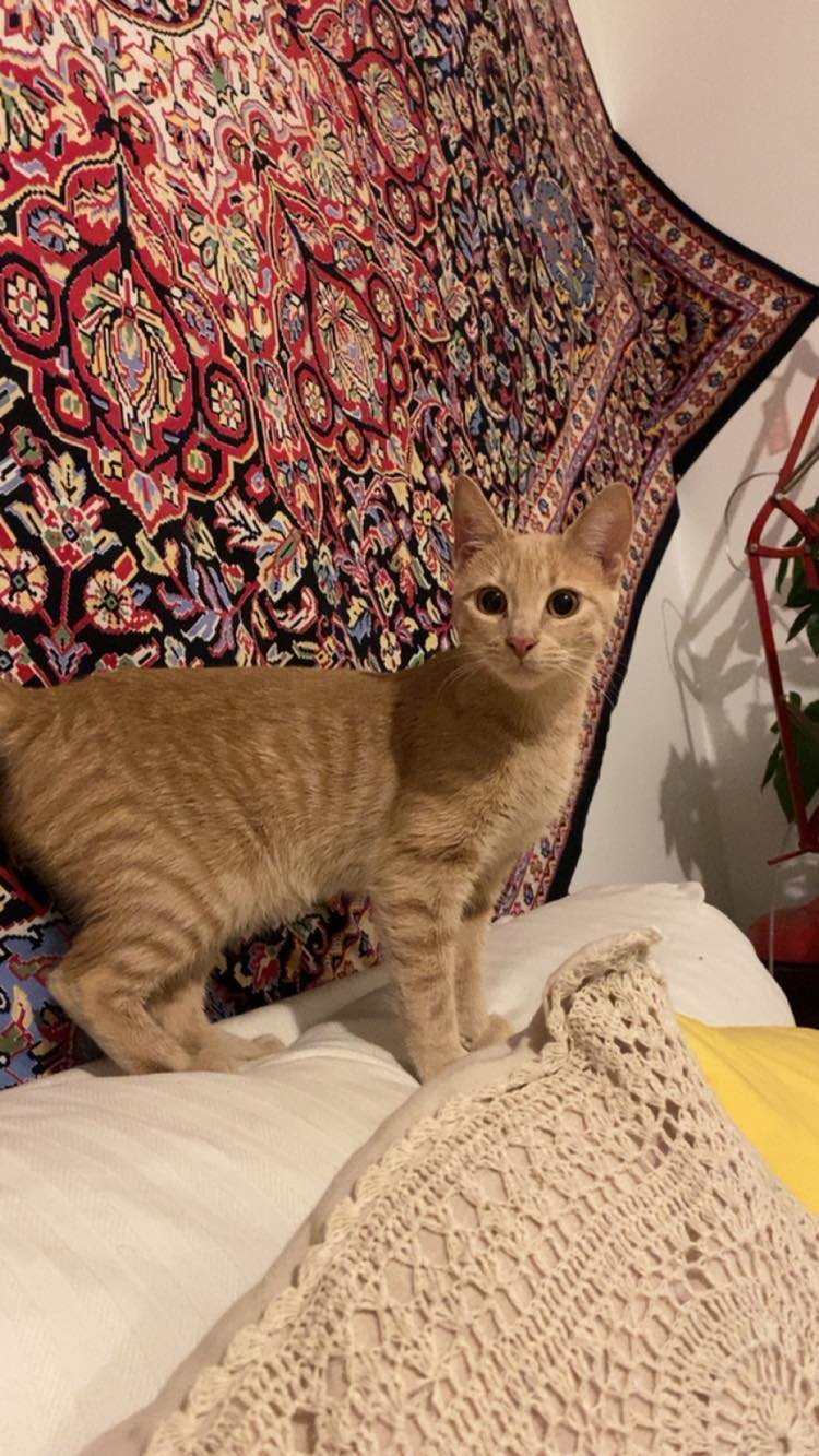 399771123_188952837593285_1823780073938944958_n