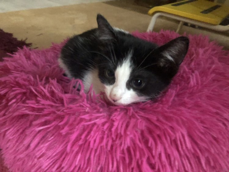 399807988_354461037238650_7643971216577932902_n