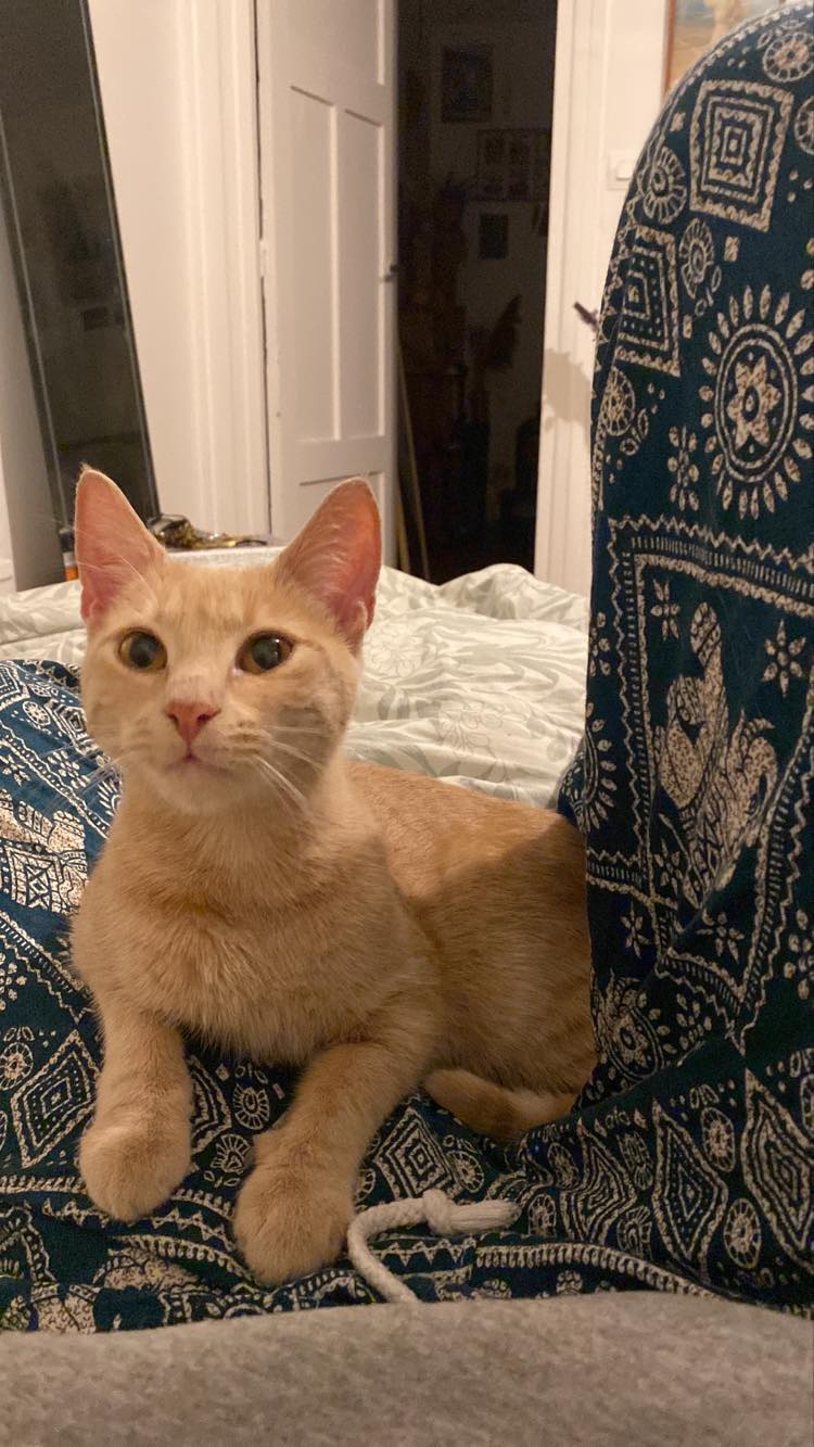 399810695_854585416254886_8451112640326327777_n