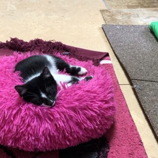 Photo de Elvira & Antonin