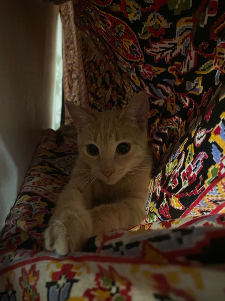 399922452_656595623130118_3033521094512879645_n