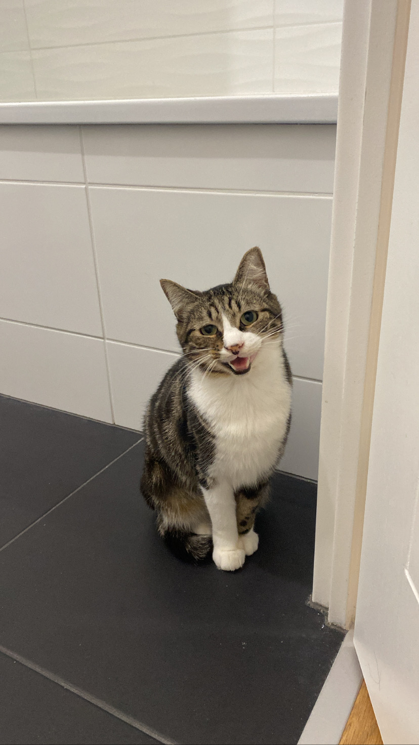 3E0CE3BA-5691-402D-8F8C-FED1EA628960