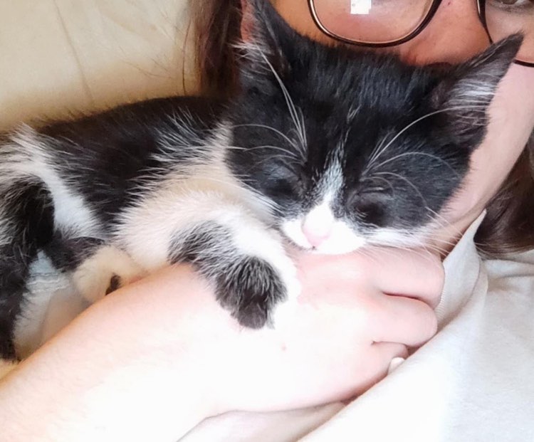 400054182_996425848085061_5909102753053596502_n