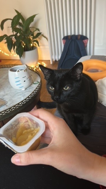 400329286_255917327465970_5617902827713069331_n