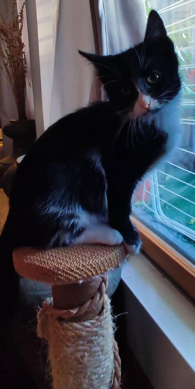 400350688_3243713205760939_3221356269771227956_n