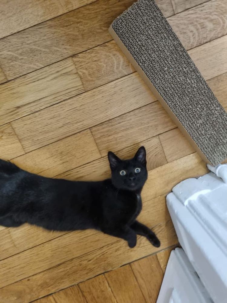 400403194_1322057898445490_4869623614124352097_n