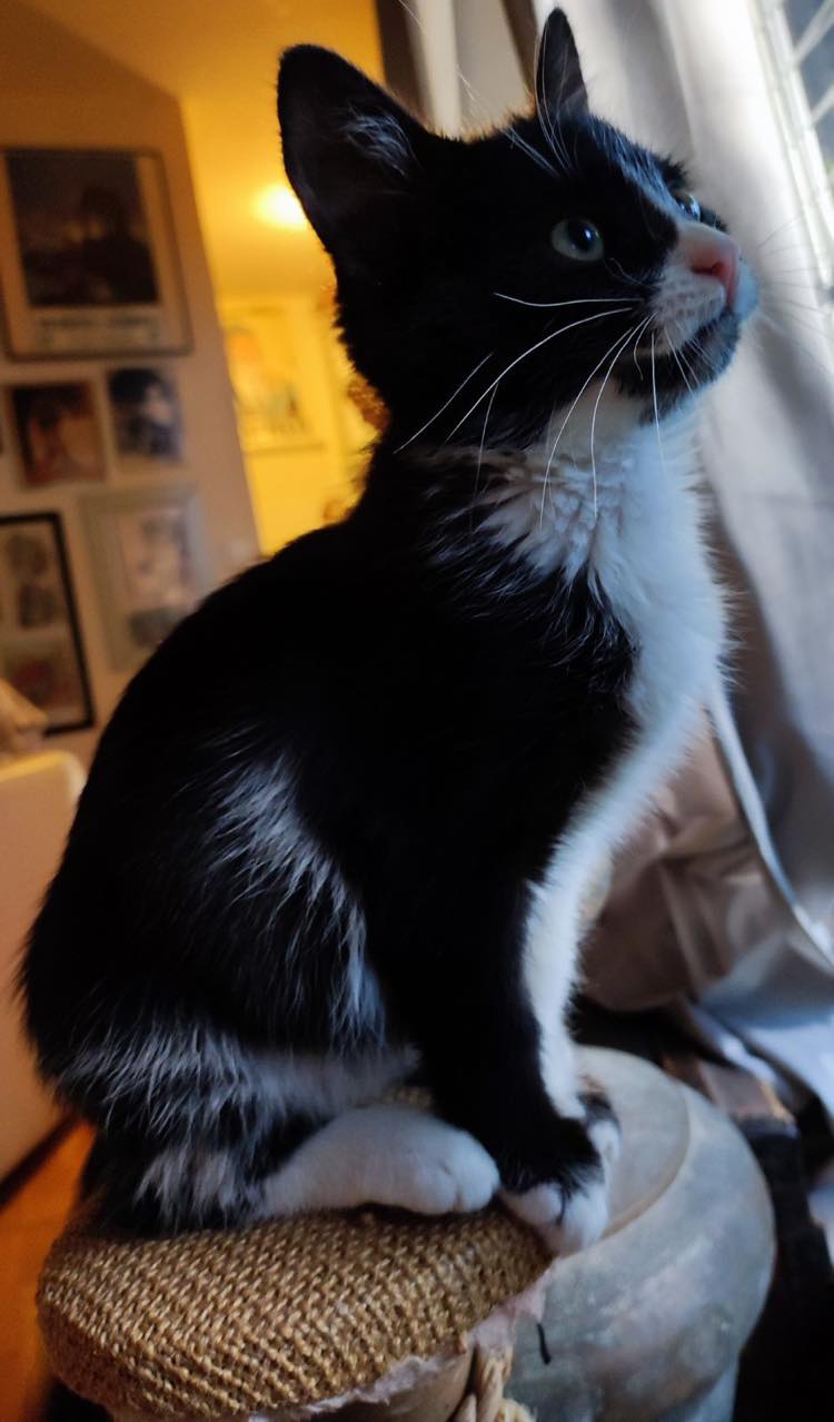 400491433_1031478034783577_550254448499154293_n