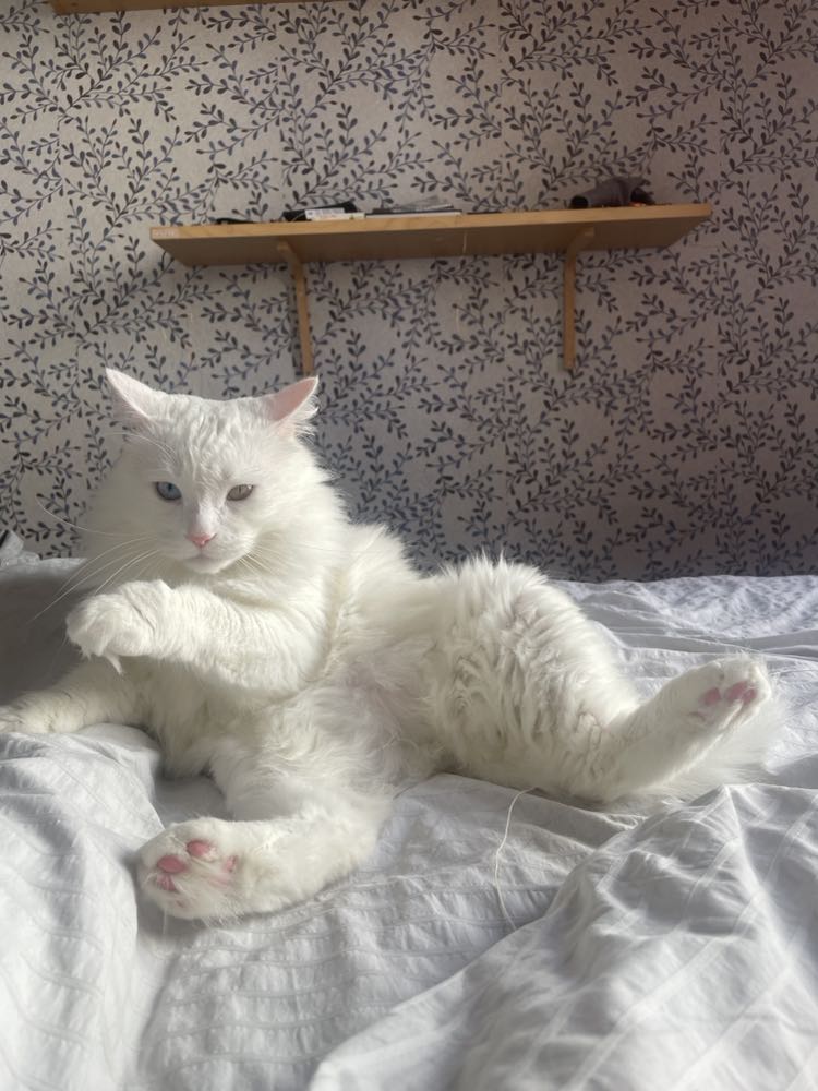 400769447_158928037266622_6982284117476611651_n