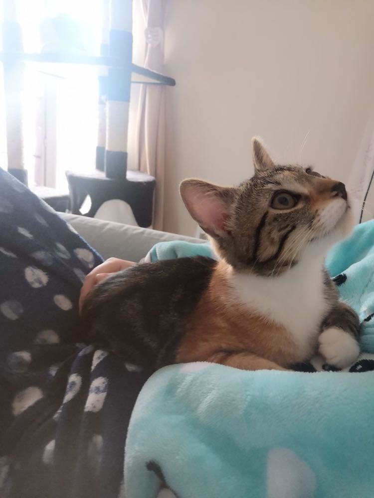 403370972_1019426765799099_572084790007893310_n