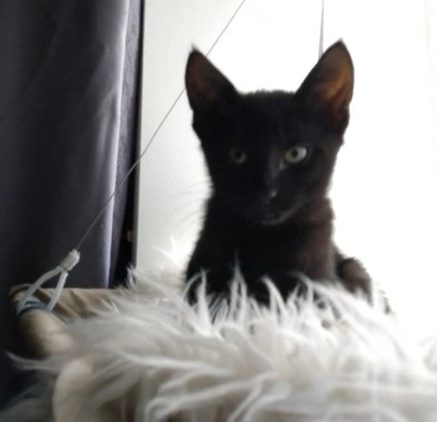 Photo de Mister Happy