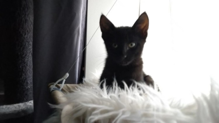 403396333_1011839143262948_9168111603774523706_n