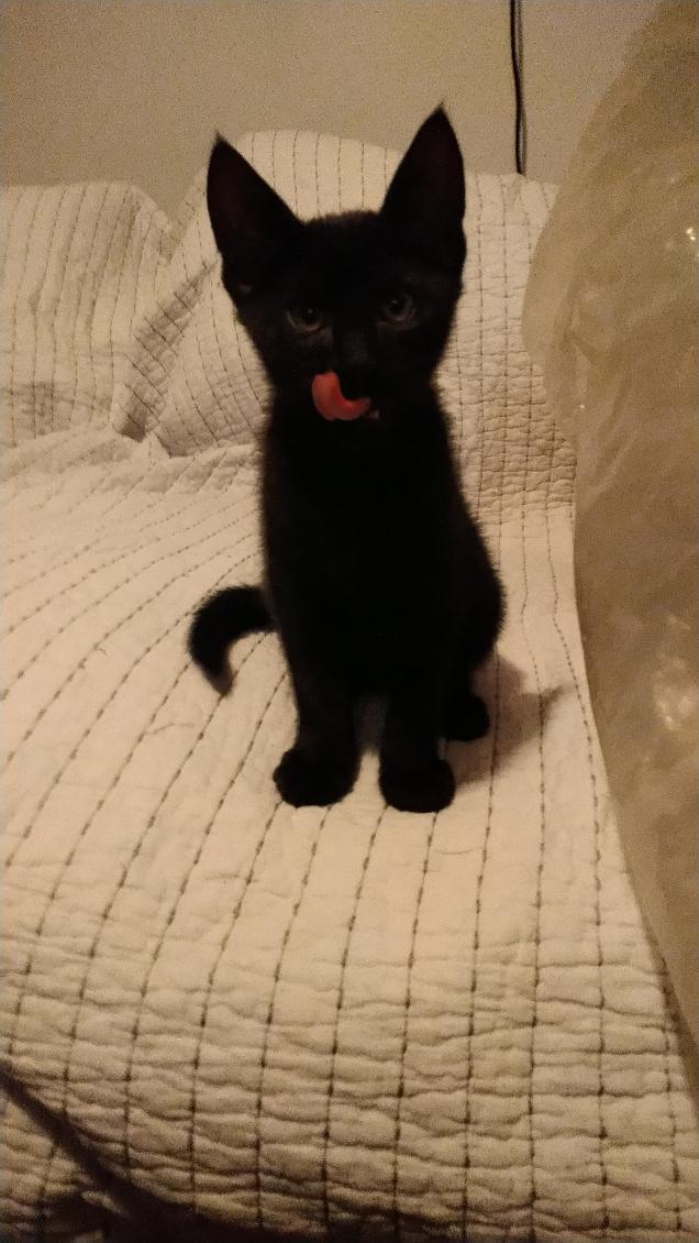 403398464_1769504740162666_3189934805040901825_n