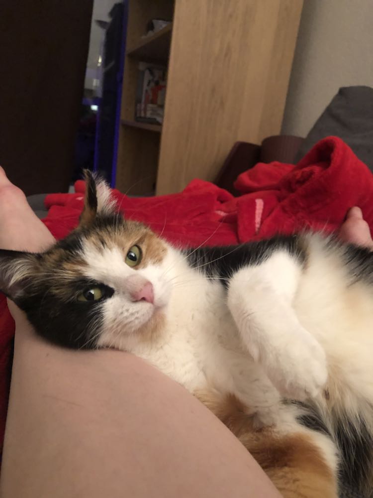 403399853_896321925236501_107963014438200349_n