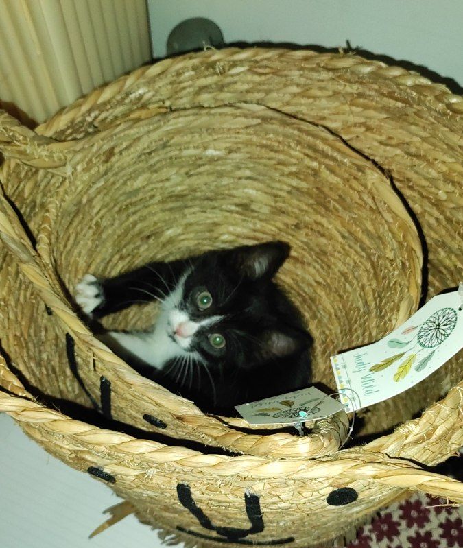 403402018_24061456630169567_3984948623507794351_n