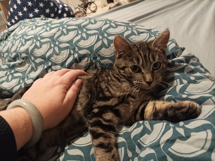 403402133_881476640148296_6925790956024263816_n