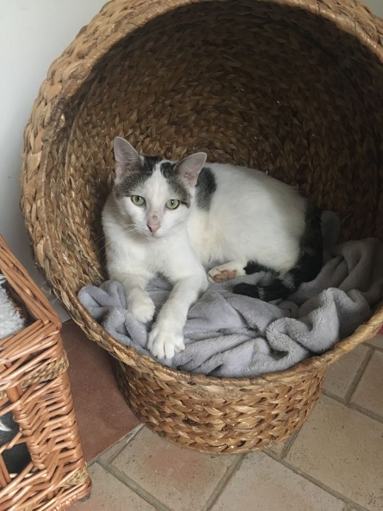 403403181_1502565050313581_8779973638698733806_n