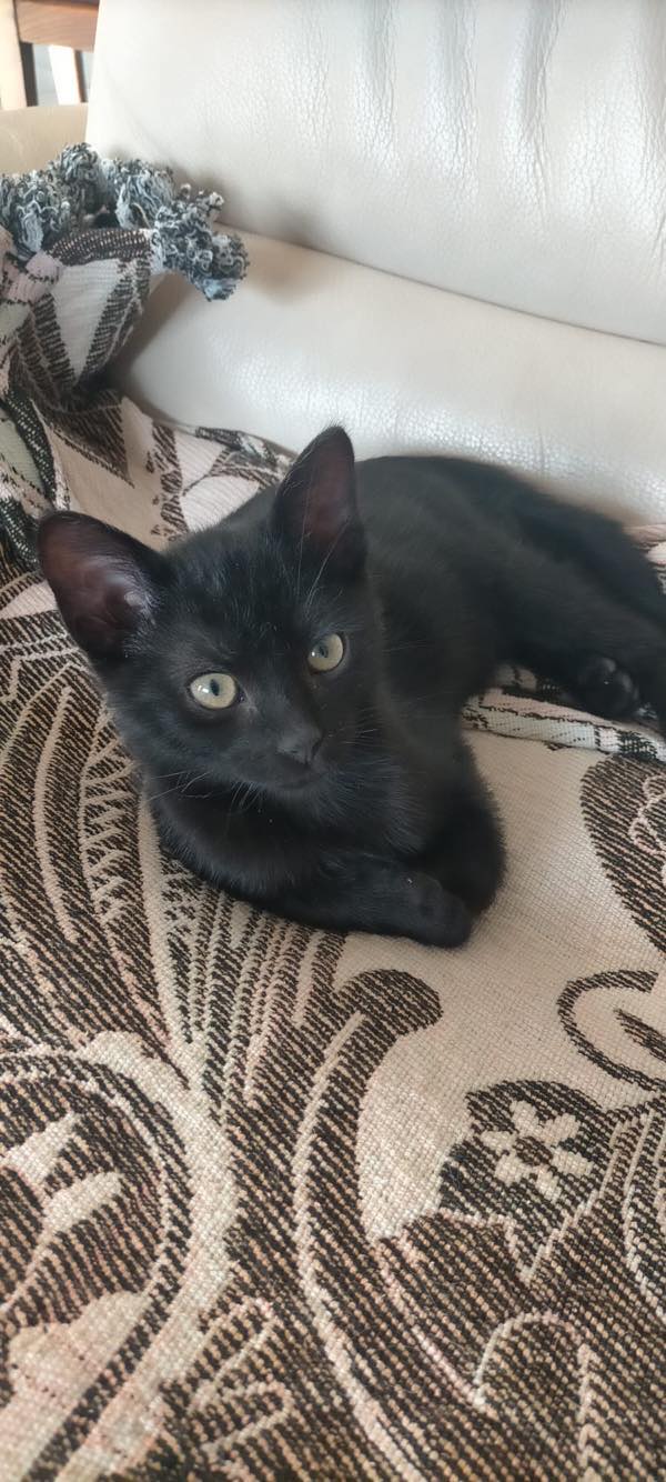 403403529_1076803633643868_862822136762284589_n