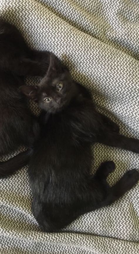 403403581_1505714233555981_7236774587070573474_n