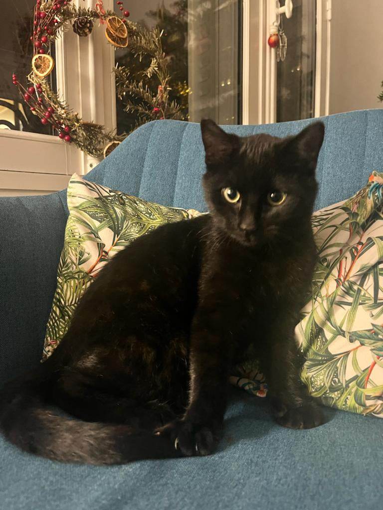 403404107_1385524195428493_7255924100285674486_n