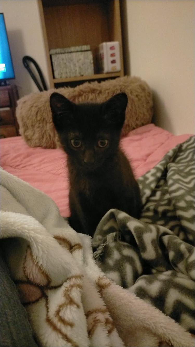 403406405_1736294656798263_4081872559586238746_n