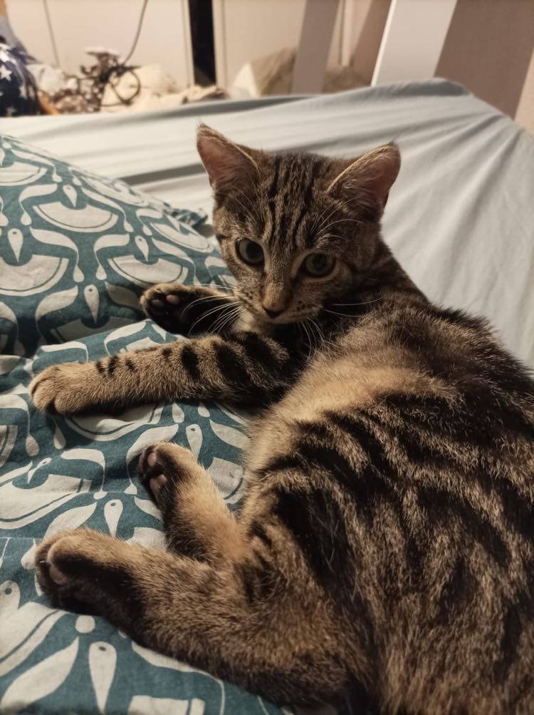 403406760_1106814613673642_6404303251244642249_n