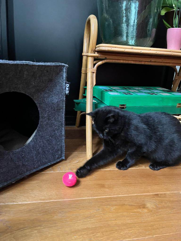 403406840_375819024888050_6489303890670422903_n