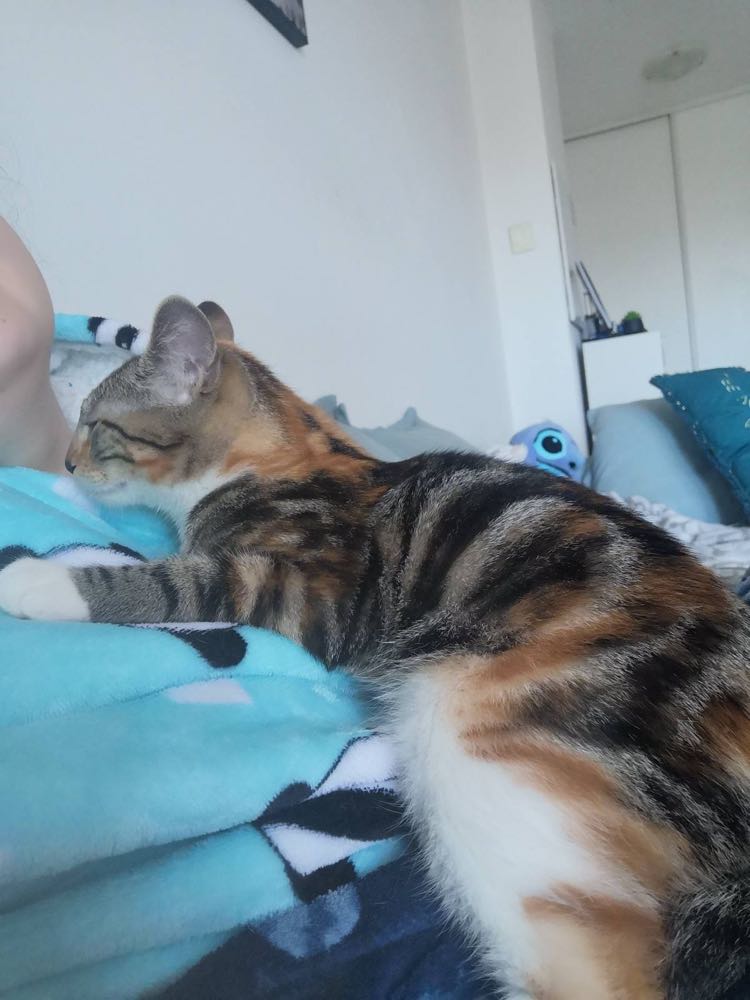 403408286_1447839569110854_6084657067113550082_n