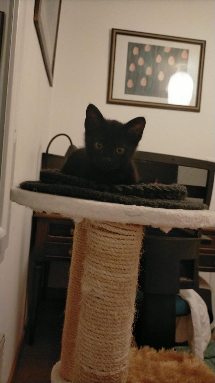 403412483_236651435965571_1065414560764146218_n