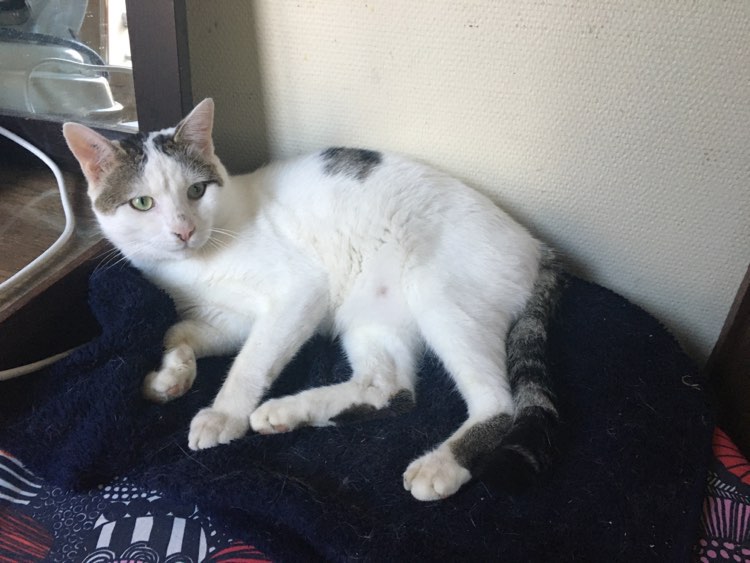 405584401_921870899553855_1738543150482020617_n