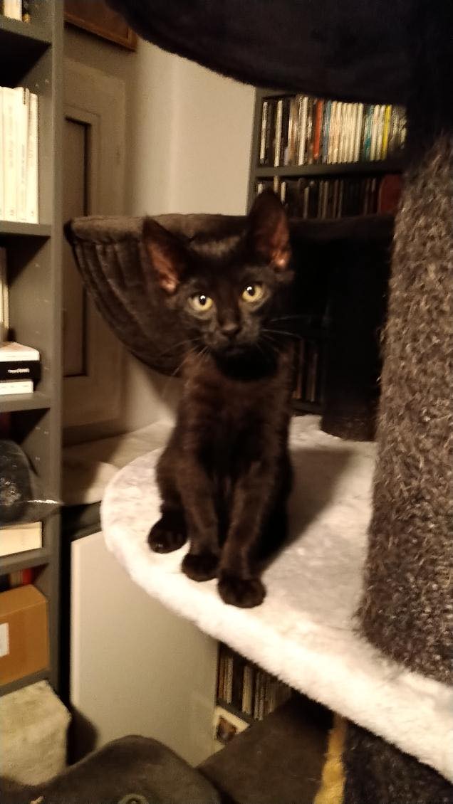 405852505_690436583064873_5075843135141166228_n