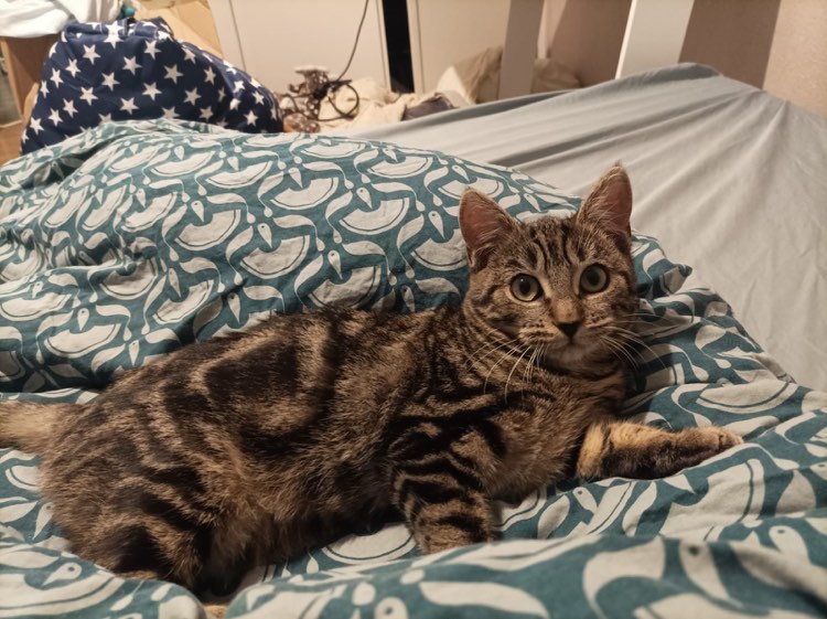 405852507_3648424018735985_7077360863108284124_n