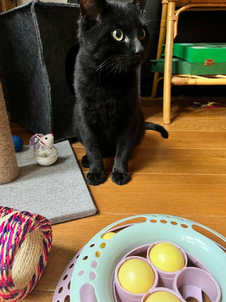 405953330_909839893897970_6670522291155540179_n