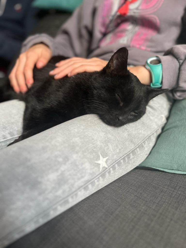 406011319_1498847800847148_1441938007437162617_n