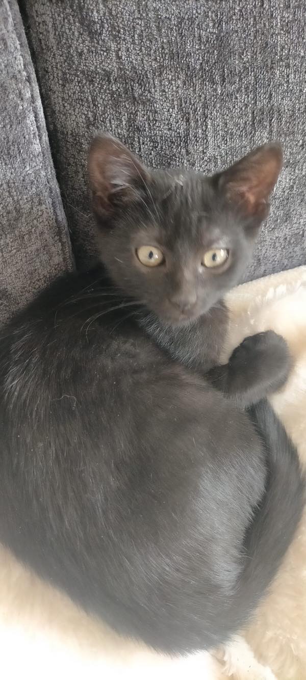 406011320_1009921626927983_343047466593128632_n