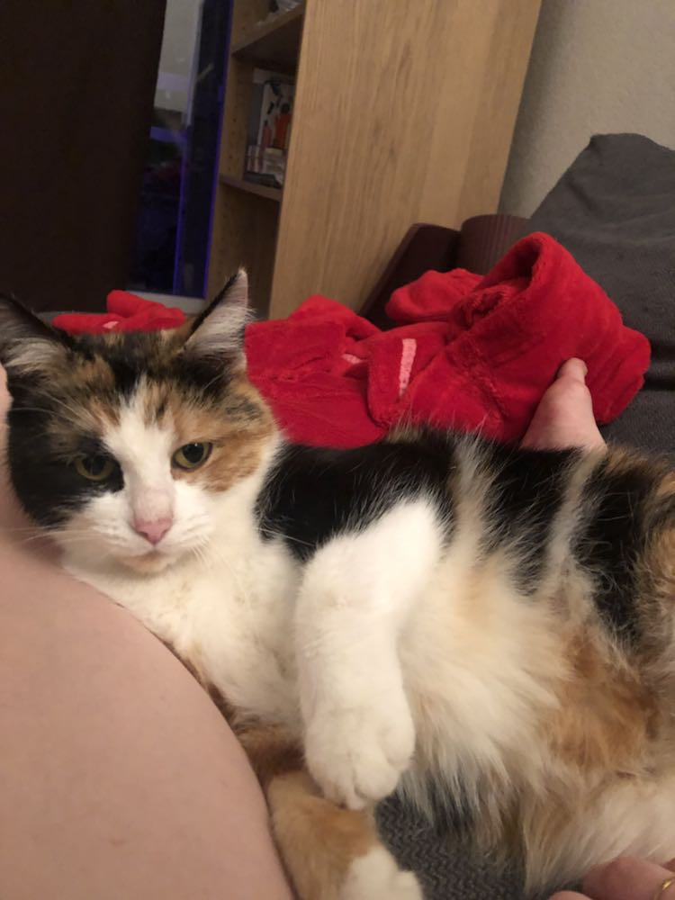 406029903_731631471881486_6783043390380757904_n