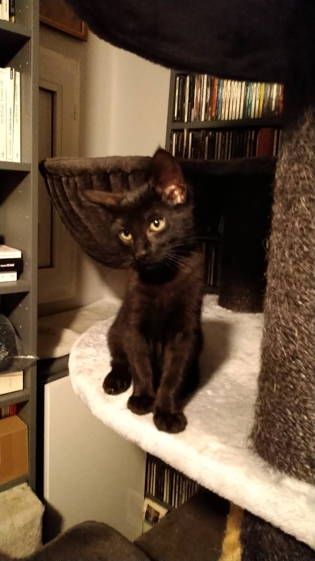 406077779_376828544716429_5255339714807155060_n