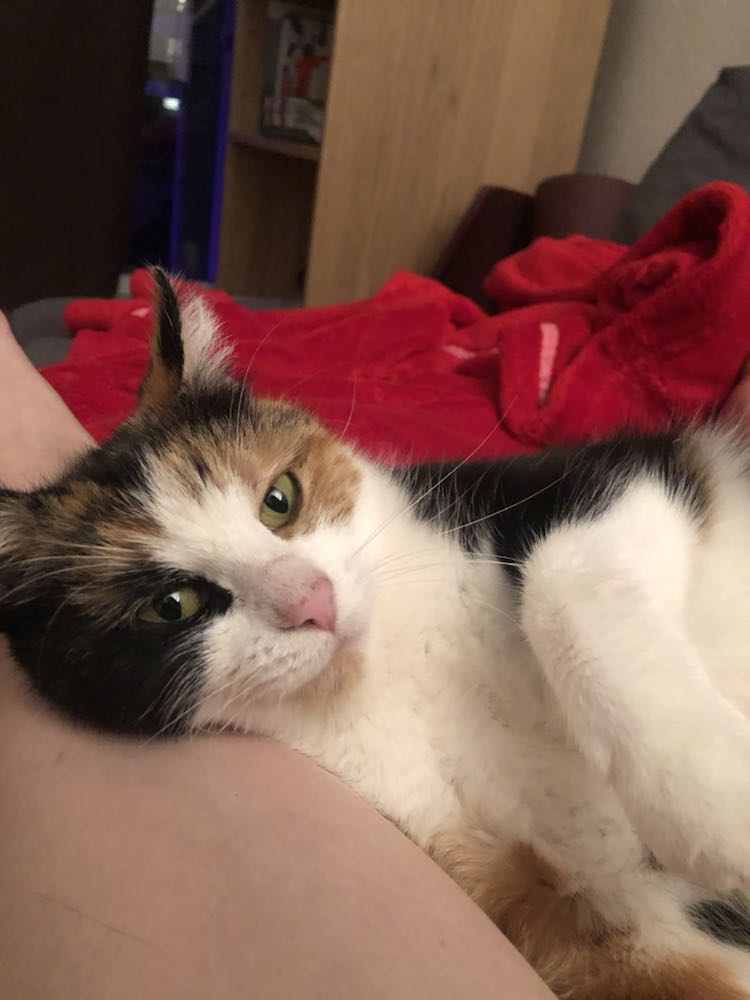 406134055_1073044607040648_1401548797853512987_n