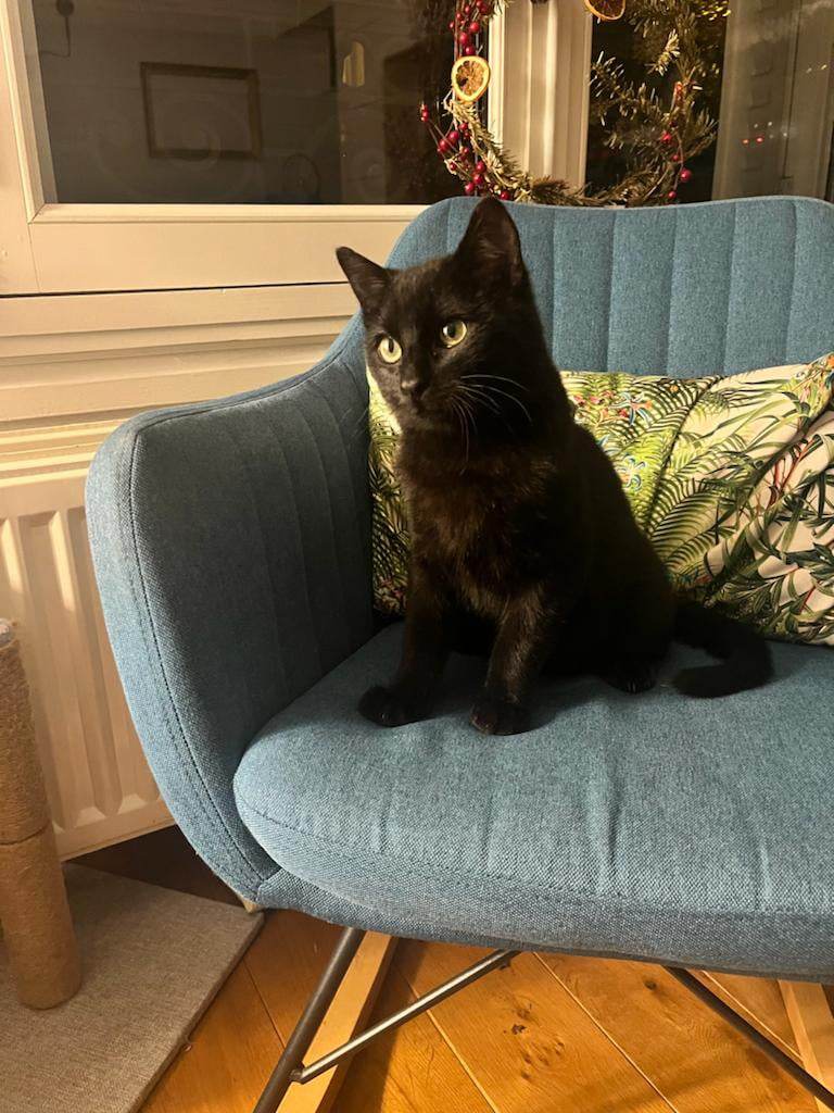 406227855_7086131991407558_8109887884912826850_n