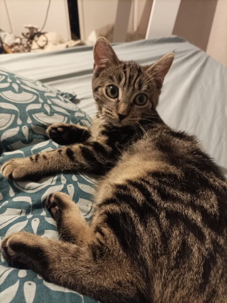 406371665_738657504833701_1471995501033118436_n