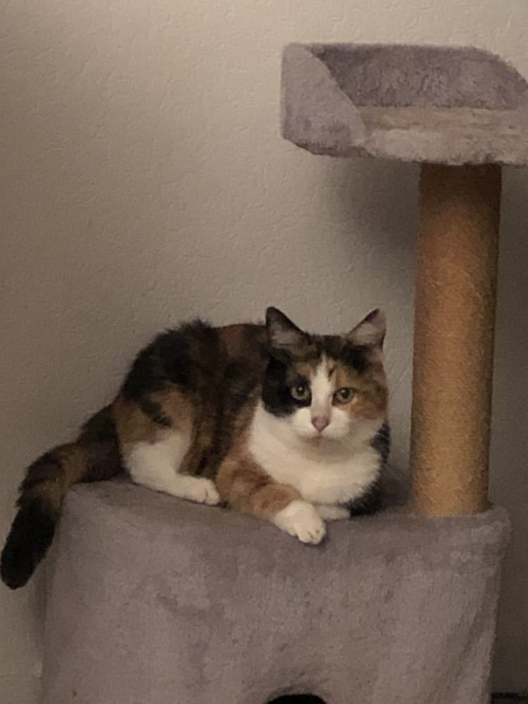 407179557_286028993979997_311122272305028_n