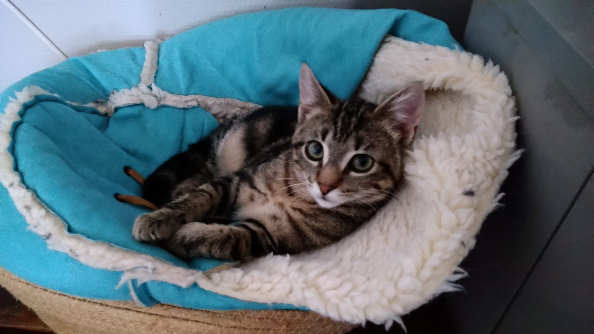 415252073_7269258826467761_7216457952518011070_n