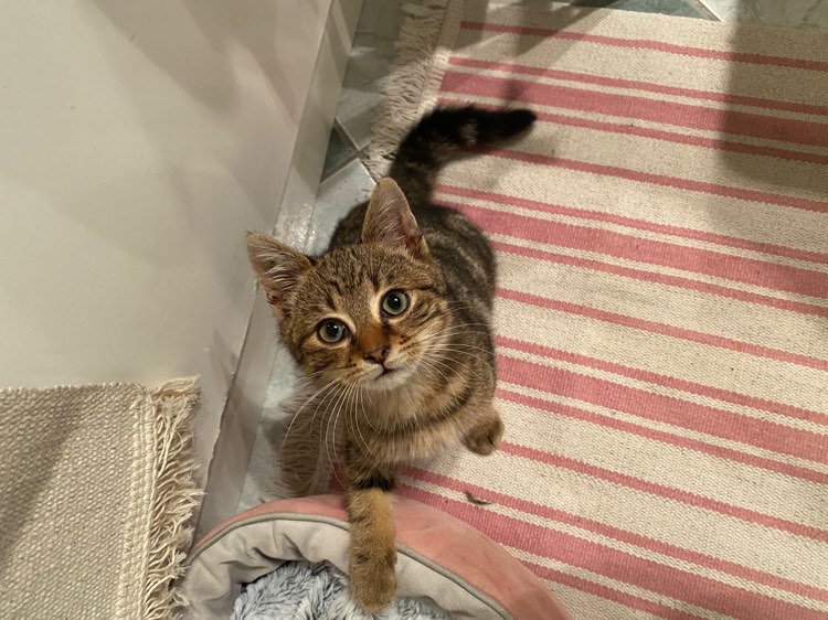 416699342_348454221339876_6223832820261312117_n