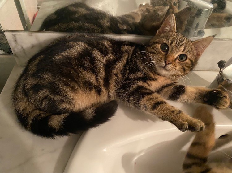 416727593_1806018969870473_332670036292306455_n