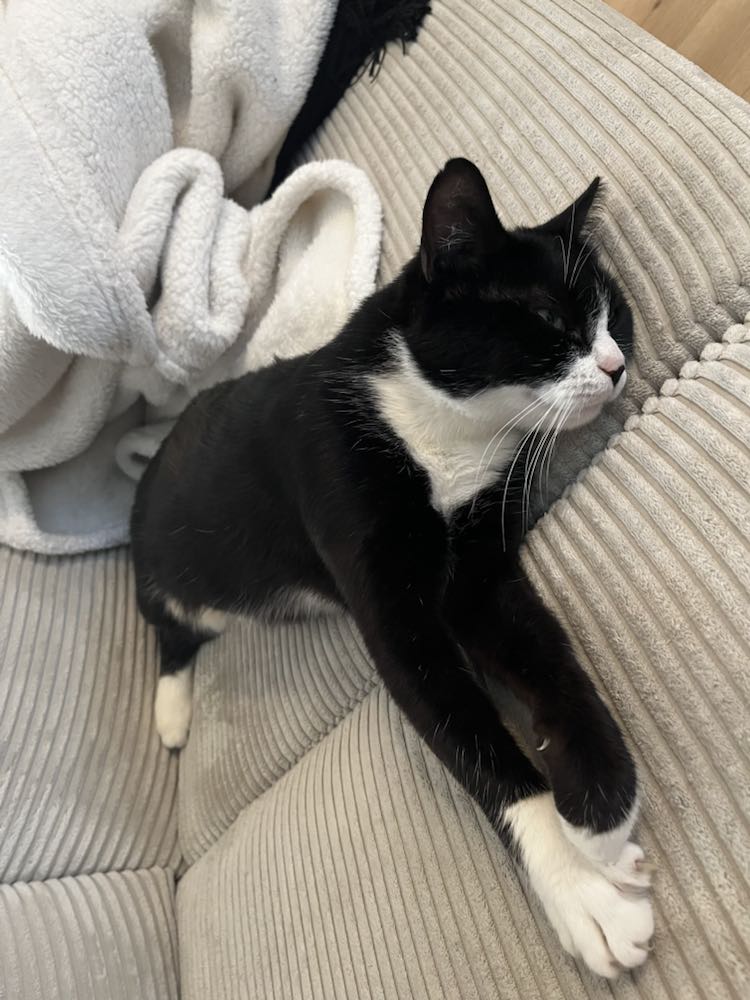 416783993_894912448791399_6649365425592702959_n