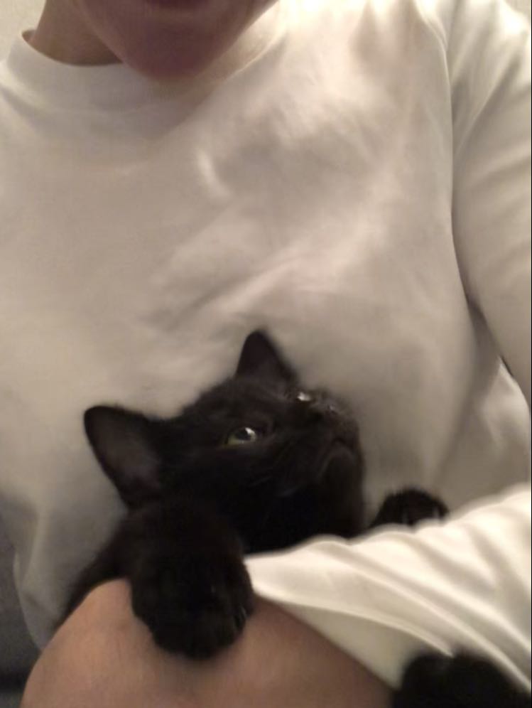 416786613_1814487659027161_4553077217496122397_n