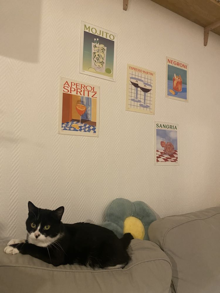 416793796_3673187256297629_1986547540605821846_n