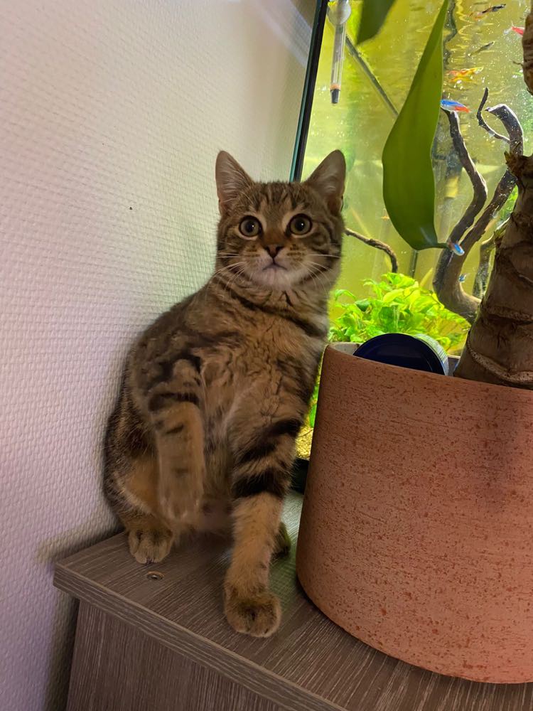 416806697_408076508310326_6377900359612033610_n