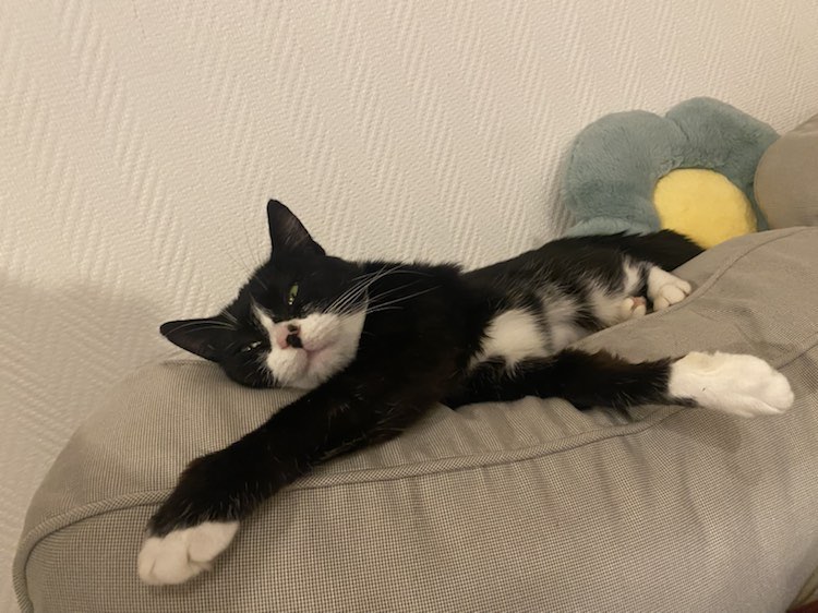 416839783_890049925926490_9047549569566257139_n